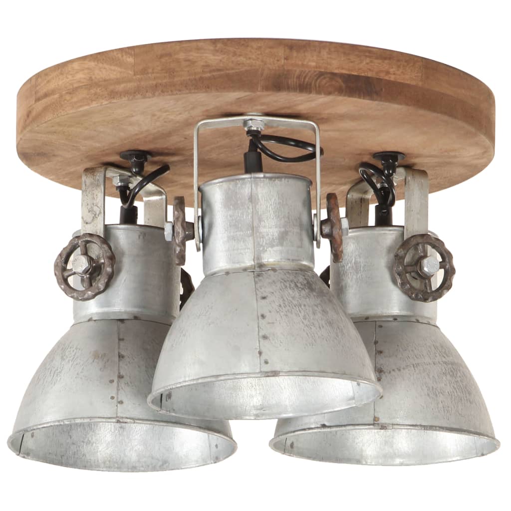 Griestu lampa, sudraba, 42x27cm, 25W, E27