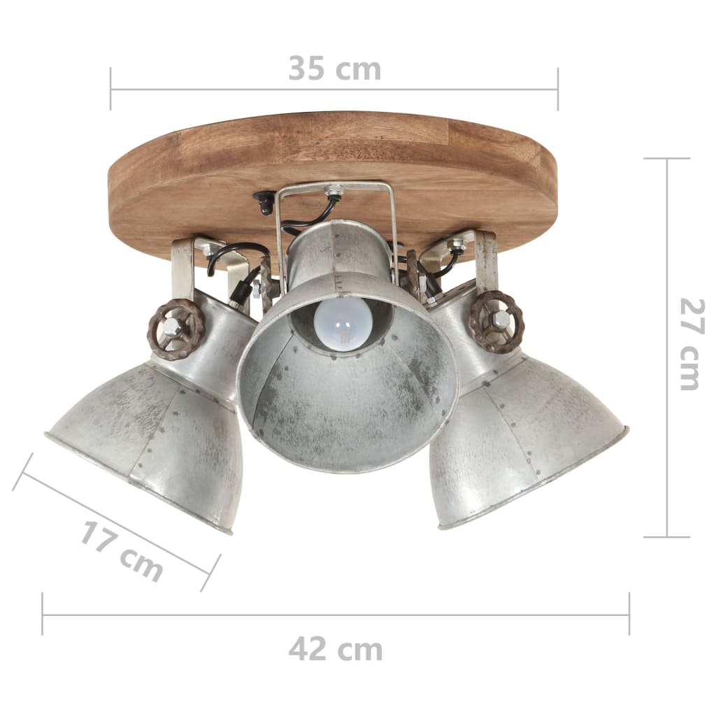 Griestu lampa, sudraba, 42x27cm, 25W, E27