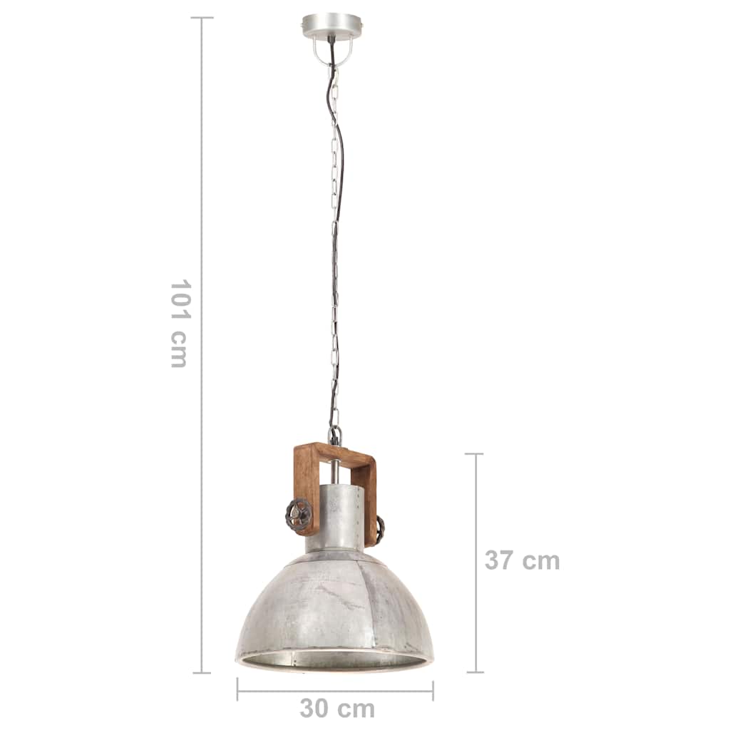 Pakabinamas šviestuvas, sidabrinis, 30cm, 25W, apskritas, E27