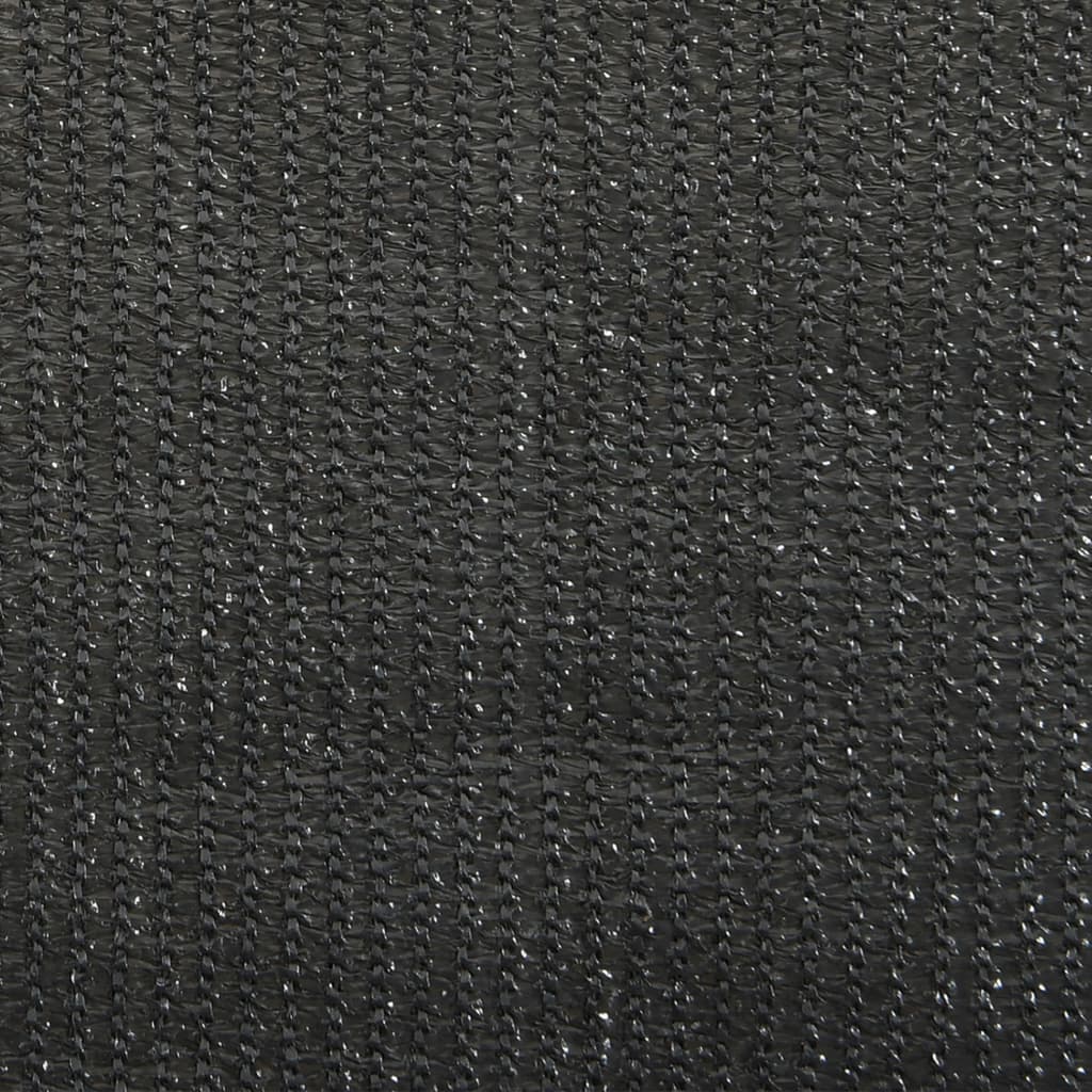 Outdoor roller blind, anthracite, 60x140cm