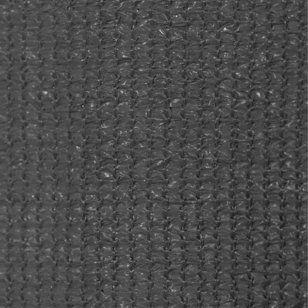 Lauko roletas, antracito spalvos, 60x230cm