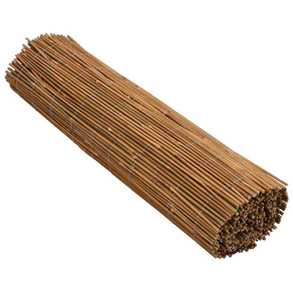 Bamboo fence, 500x100cm
