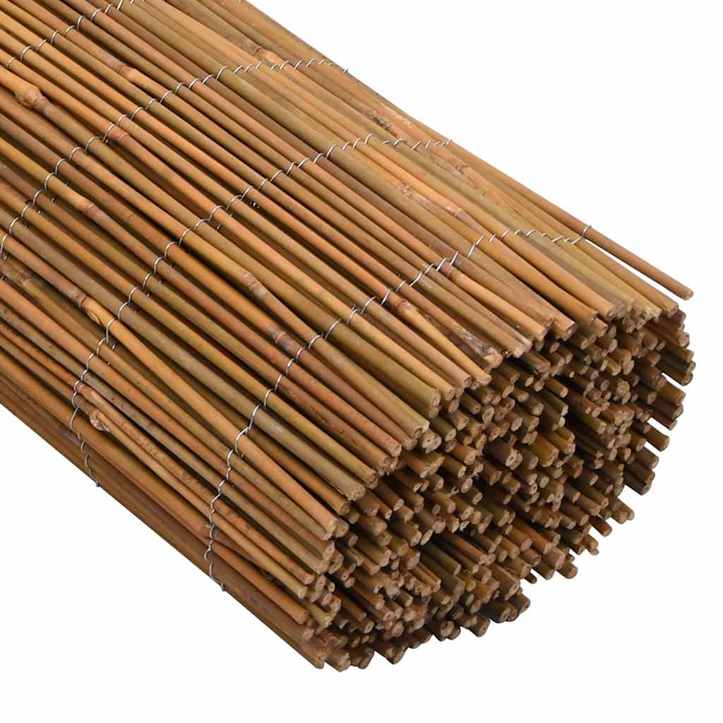 Bamboo fence, 500x100cm