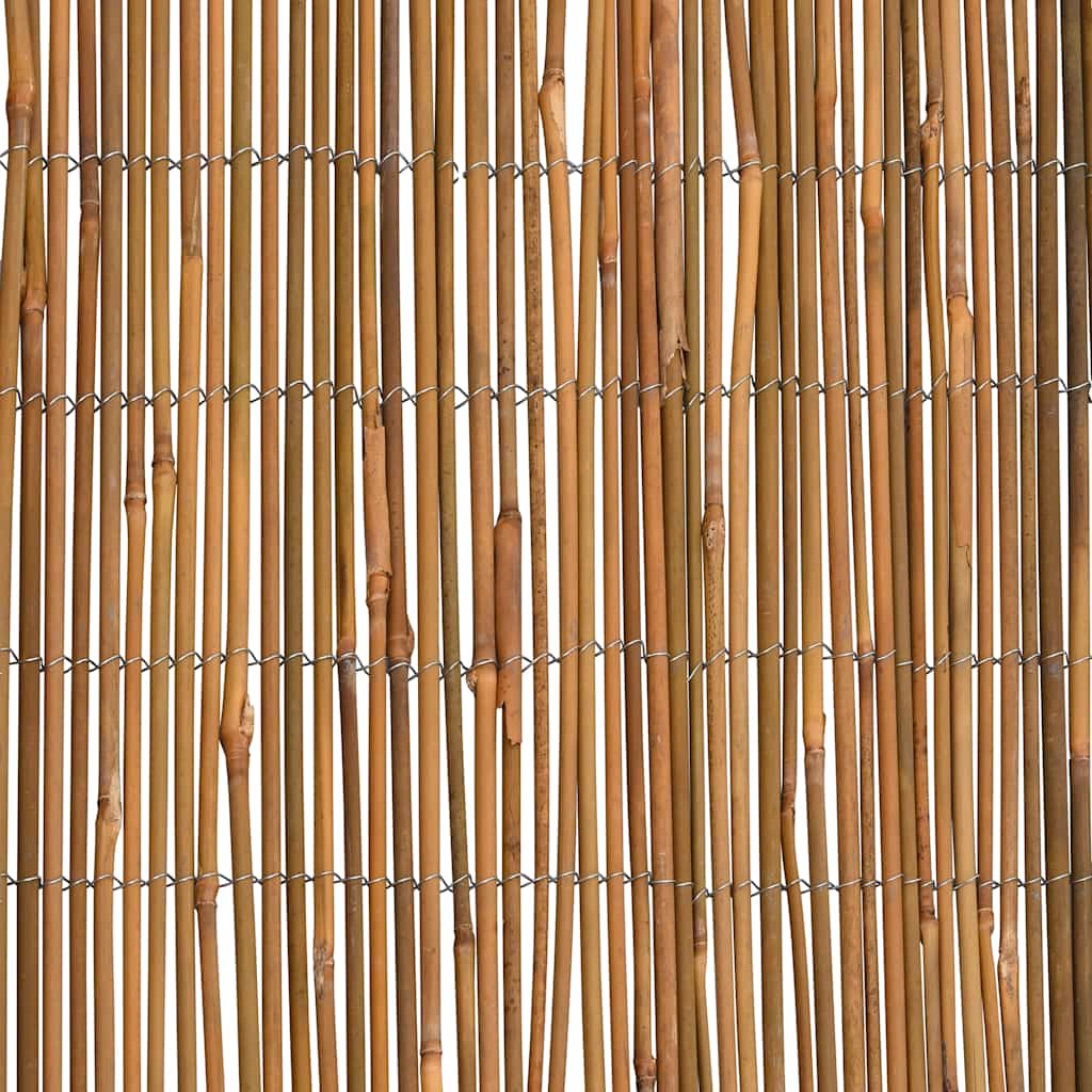 Bamboo fence, 500x100cm
