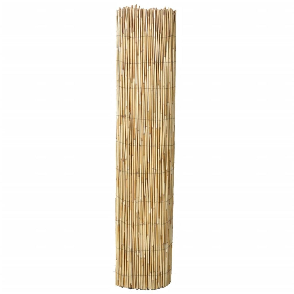 Nendrių tvoros, 2vnt., 150x500cm (2x140394)