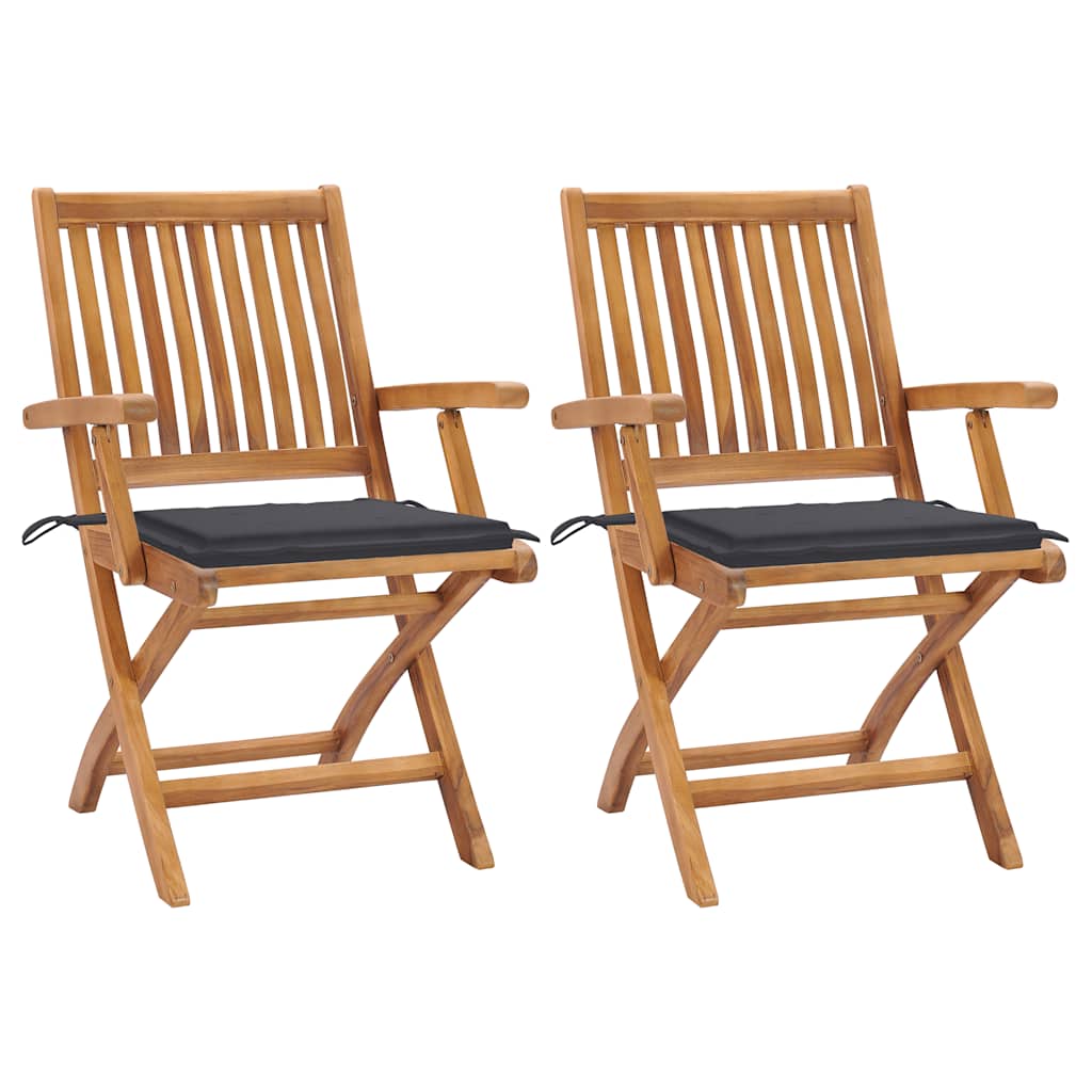 Sodo kėdės su pagalvėlėmis, 2vnt., antracito, tikmedžio masyvas
