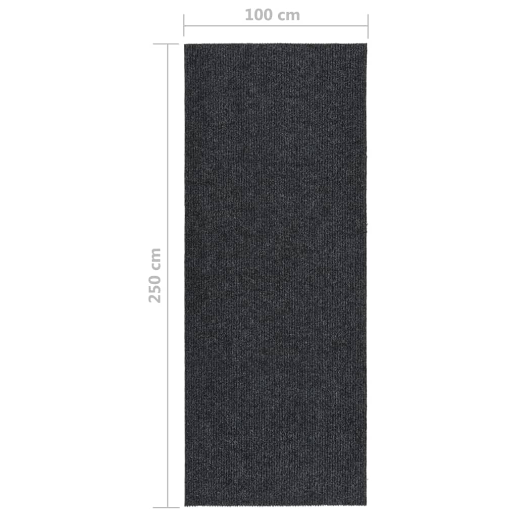 Dubļus absorbējošs paklājs-celiņš, antracīta krāsa, 100x250cm