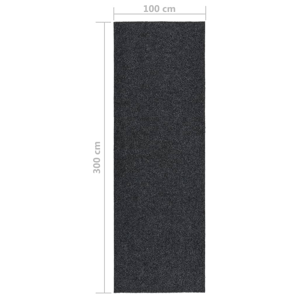 Netīrumus absorbējošs paklājs-celiņš, antracīta krāsā, 100x300cm