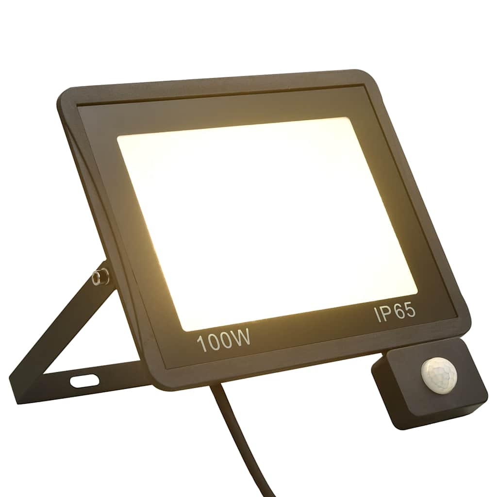 LED prožektors ar sensoru, silti balts, 100W