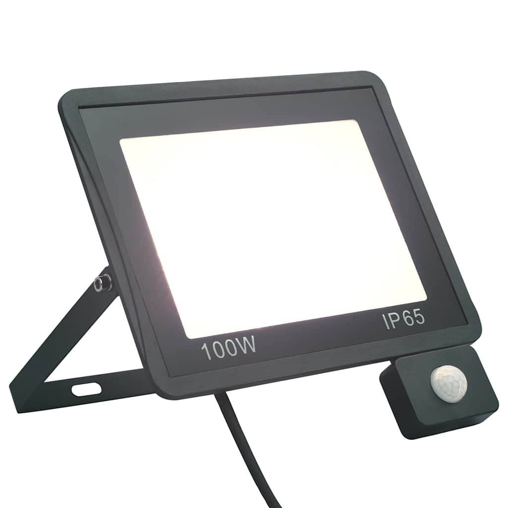 LED prožektors ar sensoru, auksti balts, 100W