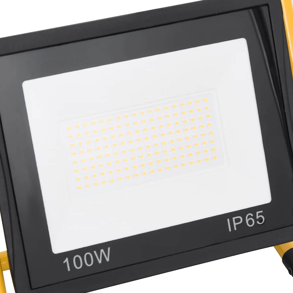 LED prožektorius su rankena, šaltos baltos spalvos, 100W