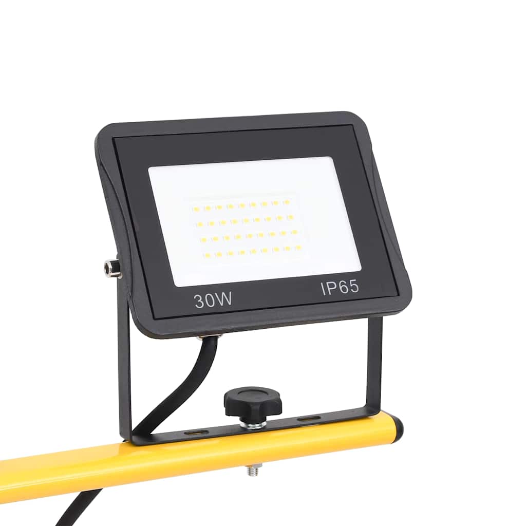 LED prožektorius su trikoju, šaltos baltos spalvos, 2x30W