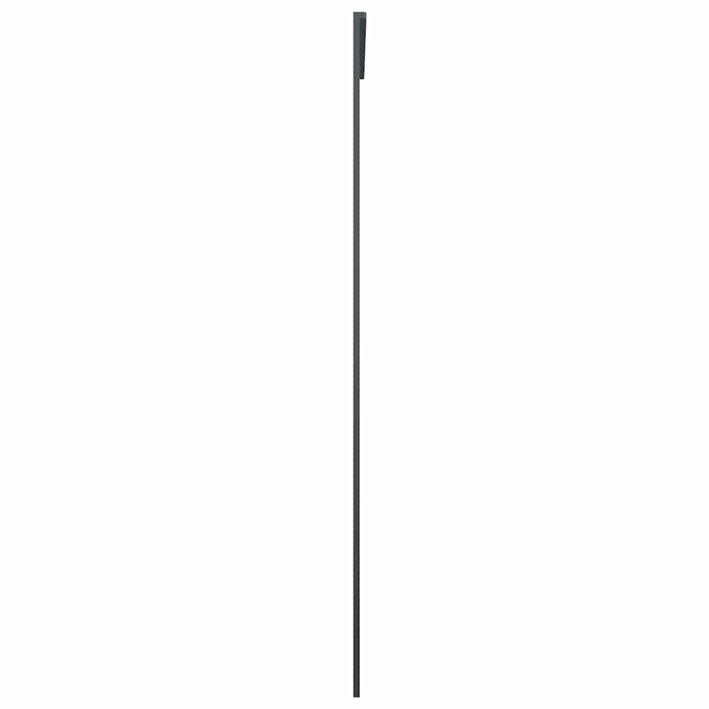 Stumdomos durys, juodos, 102,5x205cm, ESG stiklas ir aliuminis