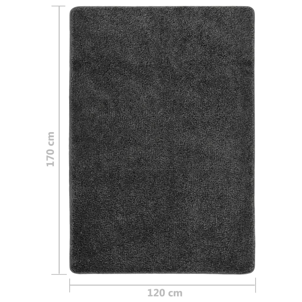 Shaggy rug, dark grey, 120x170cm, non-slip