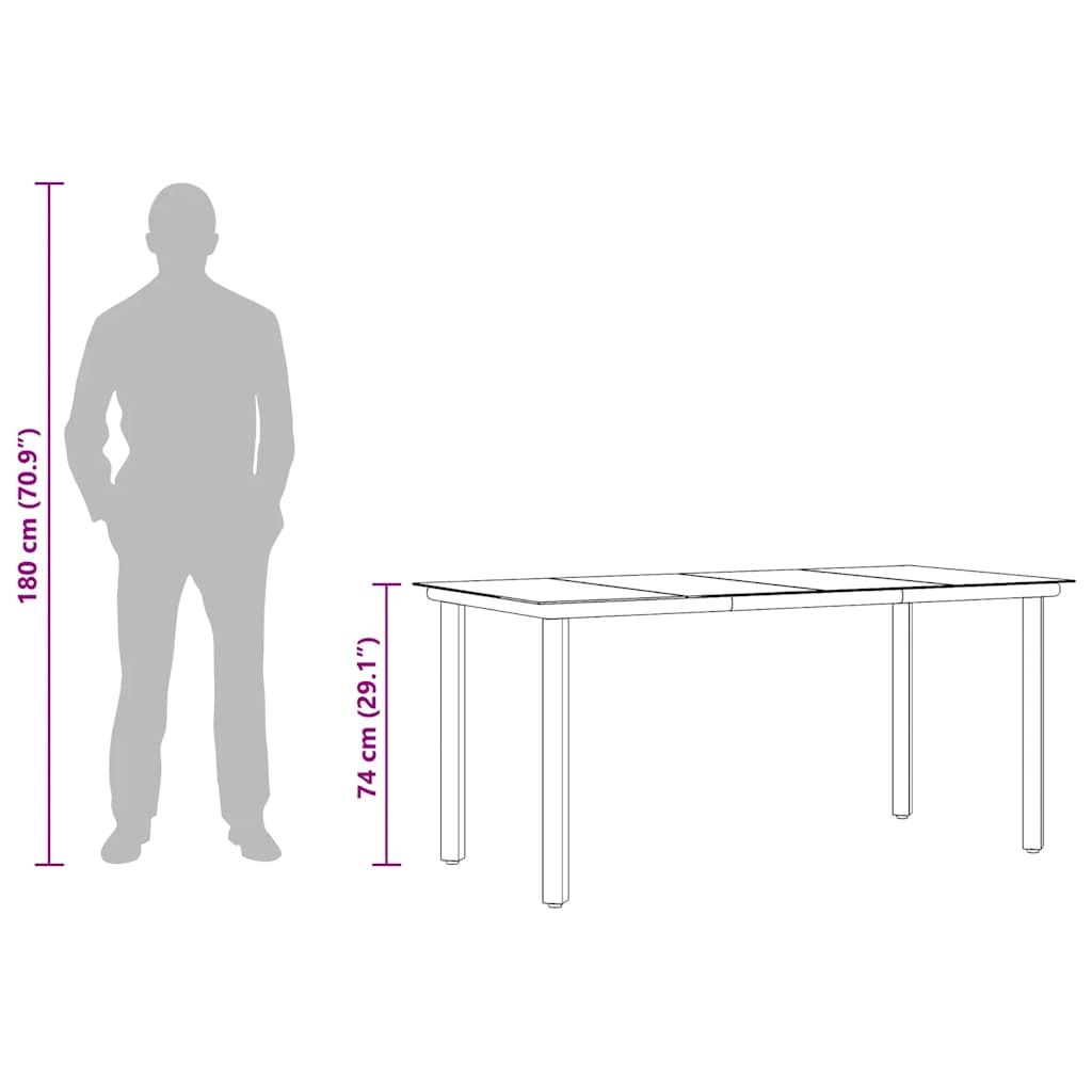 Sodo valgomojo stalas, juodas, 160x80x74cm, plienas ir stiklas