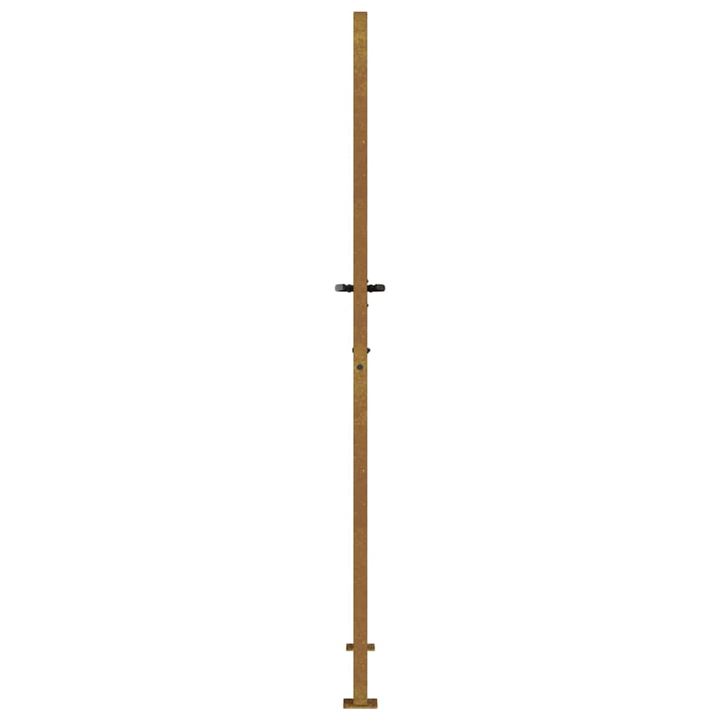 Sodo vartai, 105x205cm, corten plienas, medžio dizaino