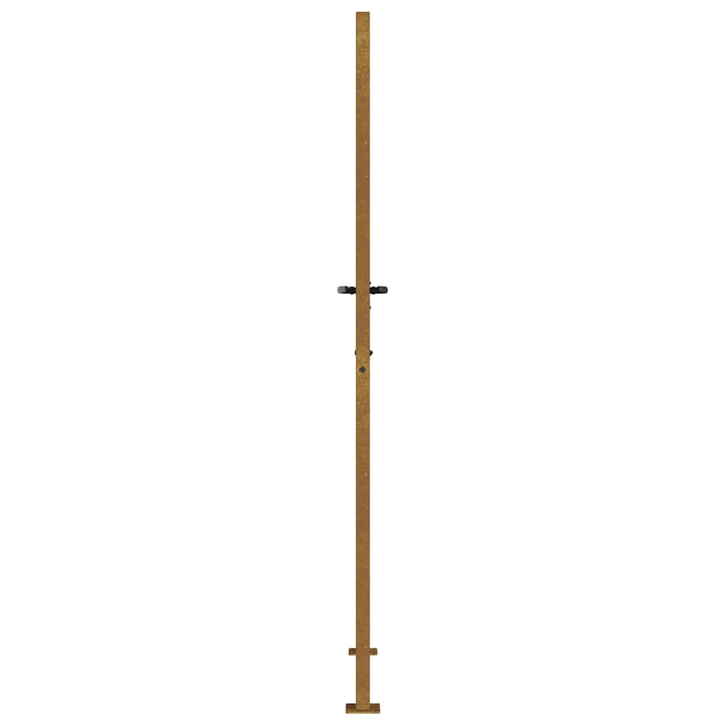 Sodo vartai, 100x175 cm, Corten plienas, žolės raštas