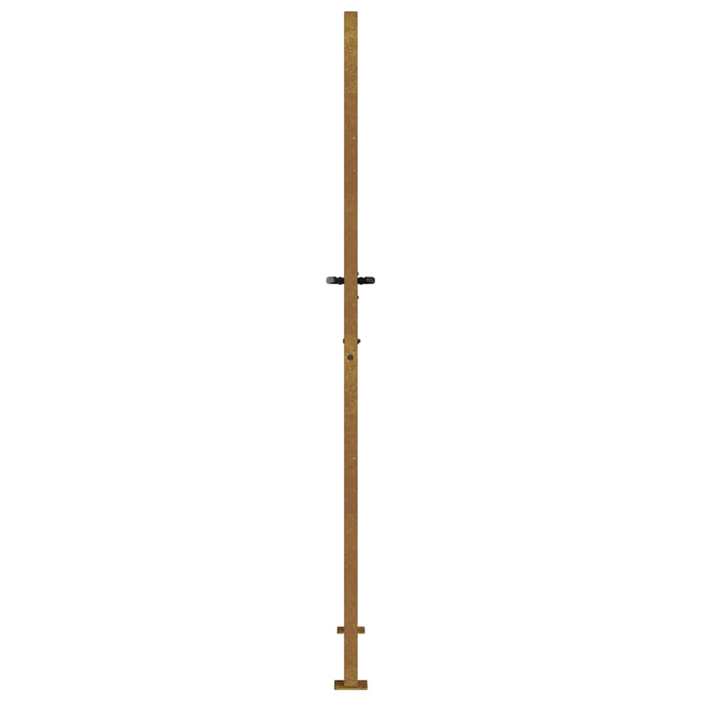 Sodo vartai, 105x205cm, corten plienas, žolės dizaino