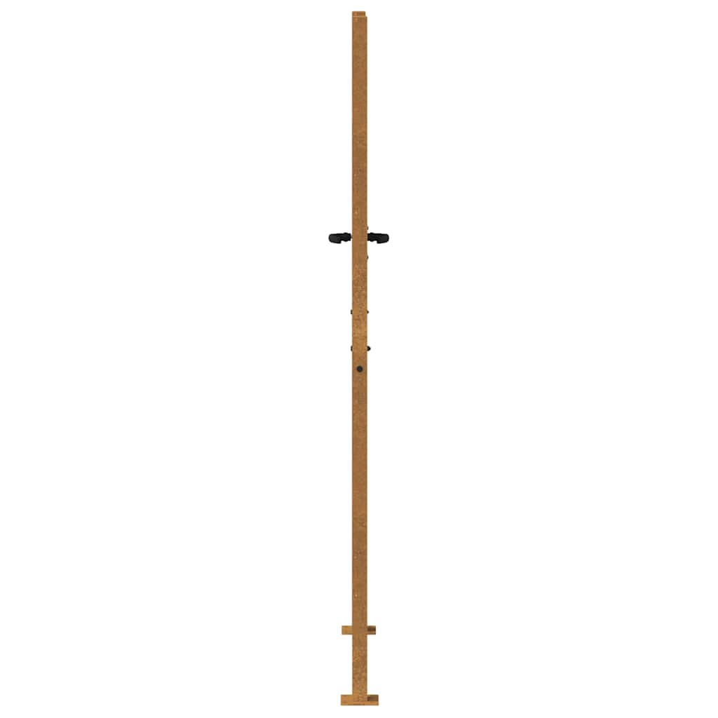 Sodo vartai, 100x200 cm, Corten plienas