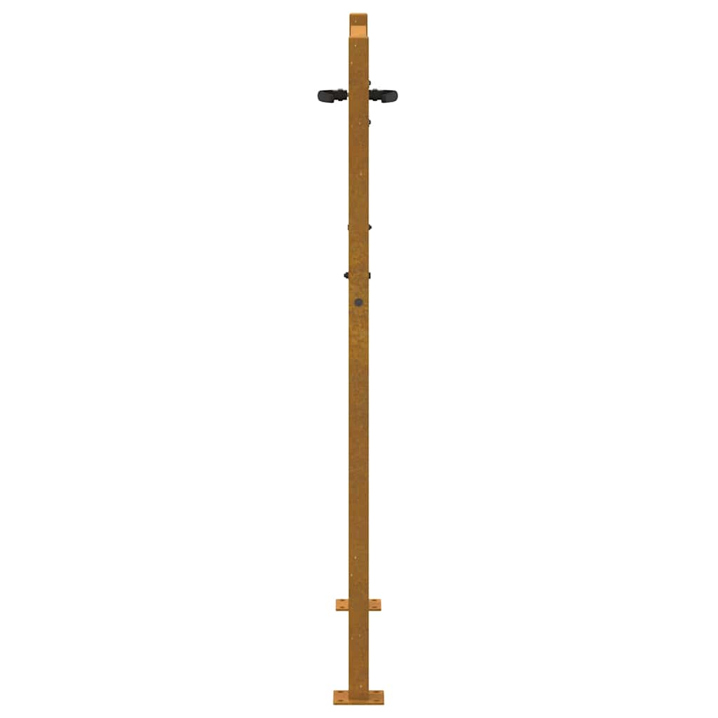 Sodo vartai, 100x125 cm, Corten plienas, medžio raštas