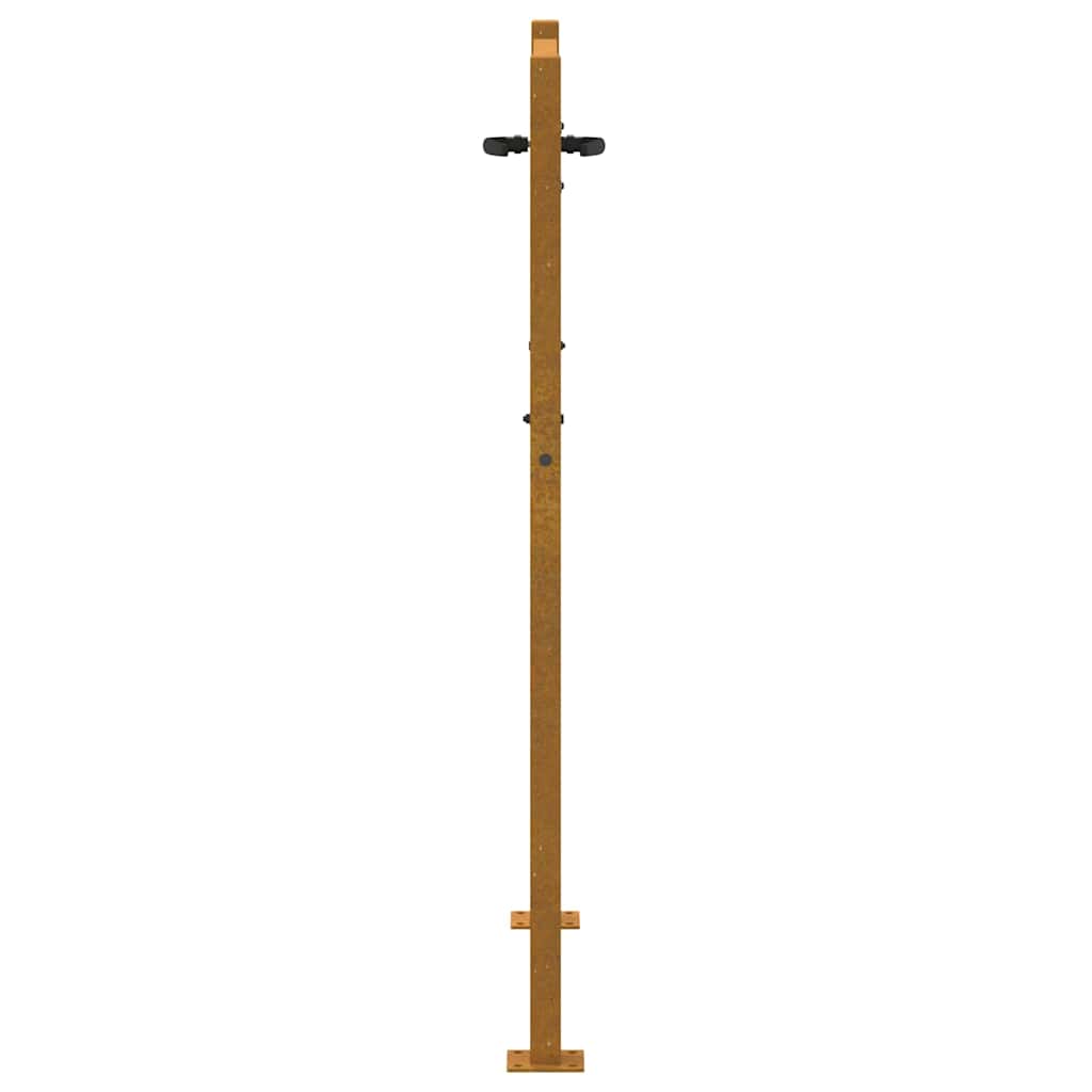 Sodo vartai, 100x150 cm, Corten plienas, medžio raštas
