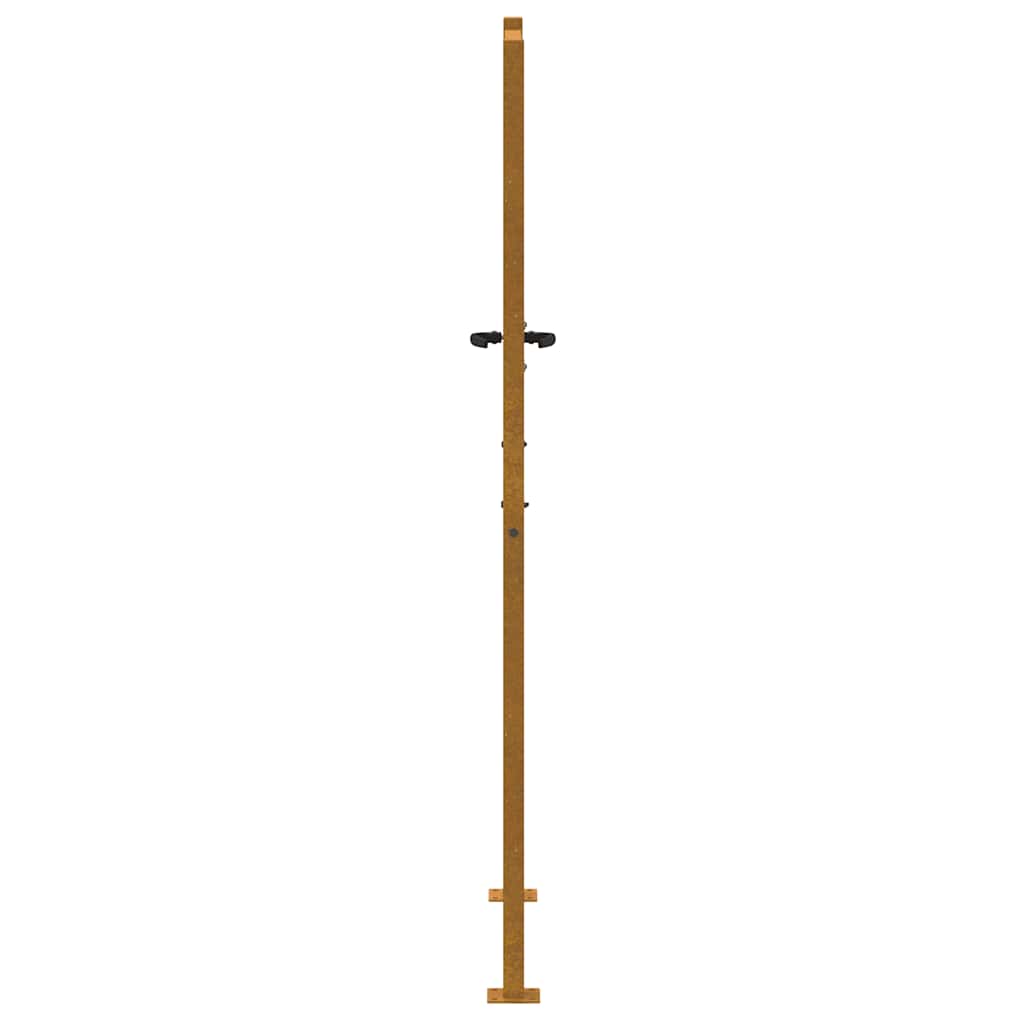 Sodo vartai, 100x175 cm, Corten plienas, medžio raštas