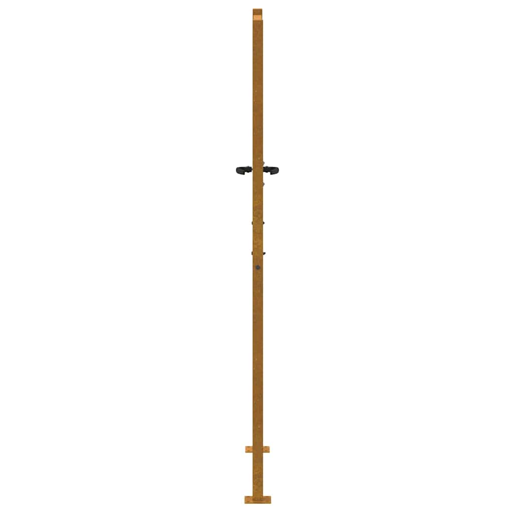 Sodo vartai, 100x175 cm, Corten plienas, medžio raštas