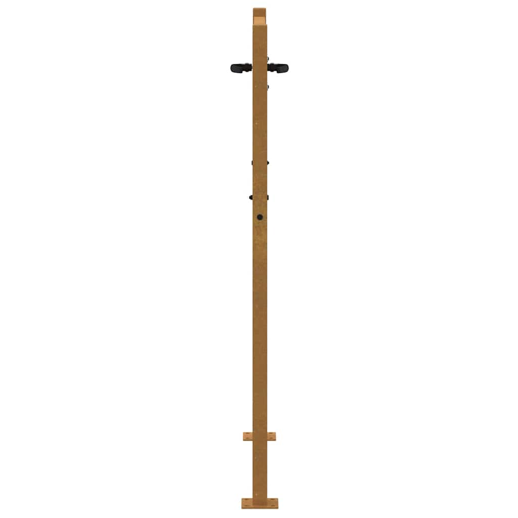 Sodo vartai, 100x125 cm, Corten plienas, žolės raštas