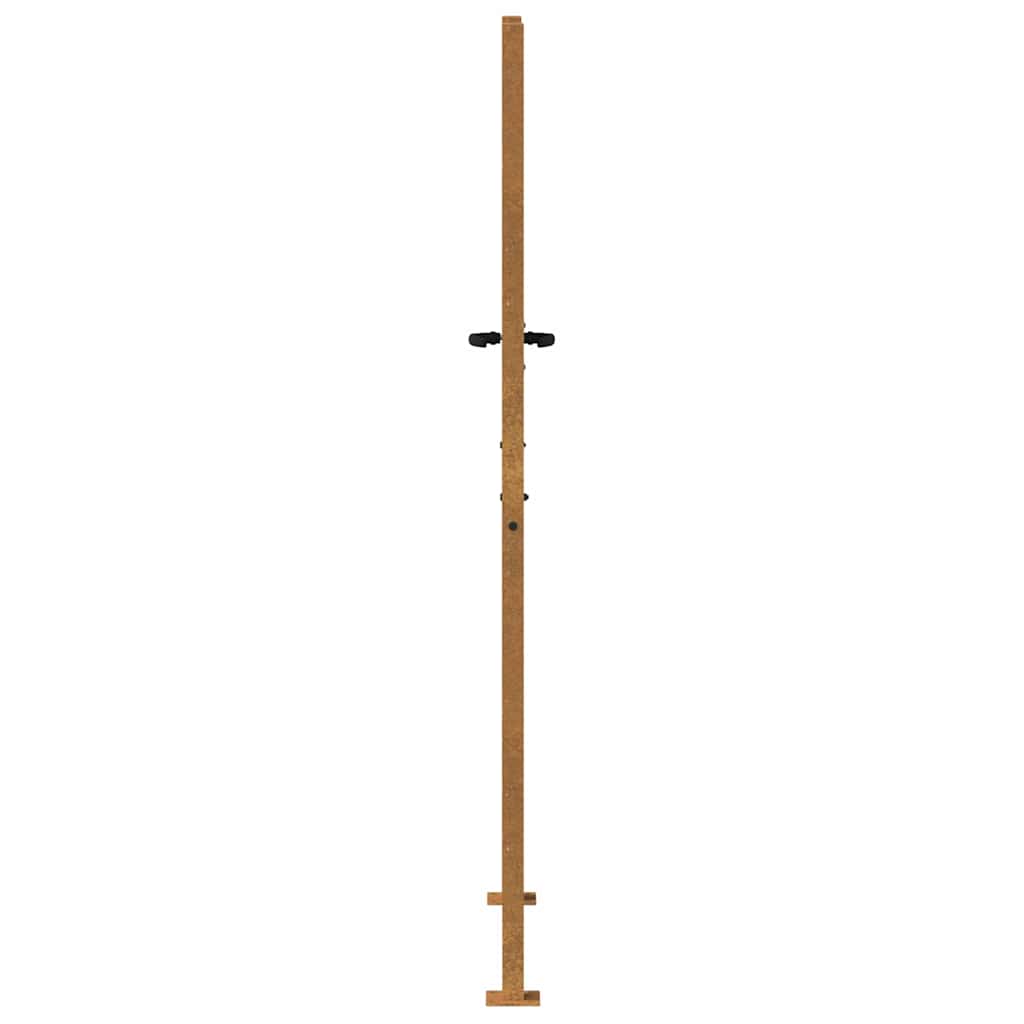 Sodo vartai, 100x175 cm, Corten plienas, žolės raštas