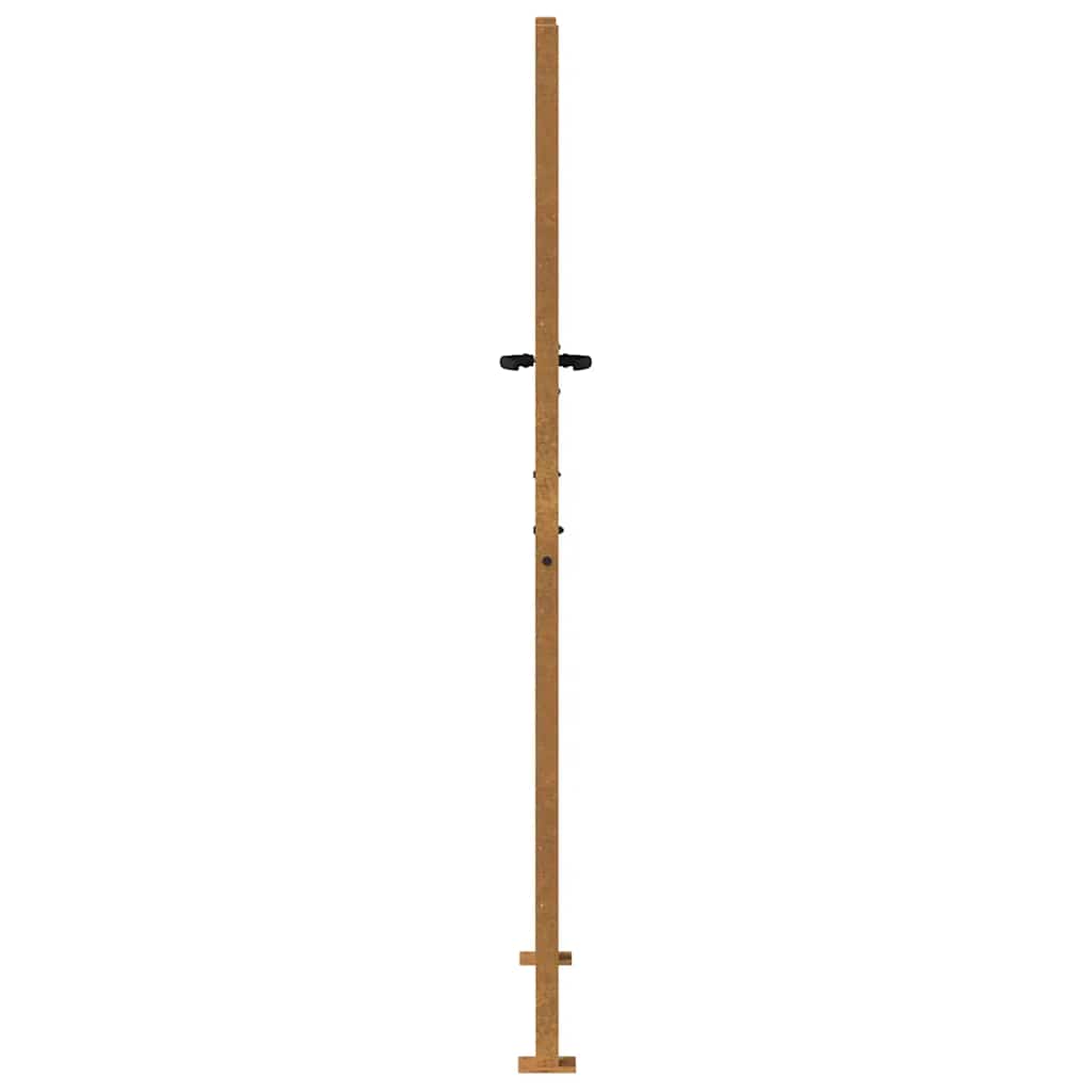 Sodo vartai, 100x200 cm, Corten plienas, bambuko dizainas