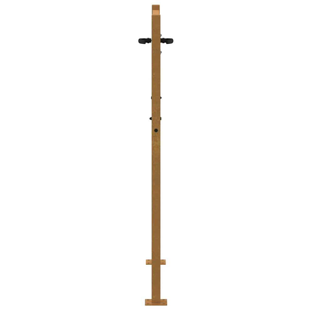 Sodo vartai, 100x125 cm, Corten plienas