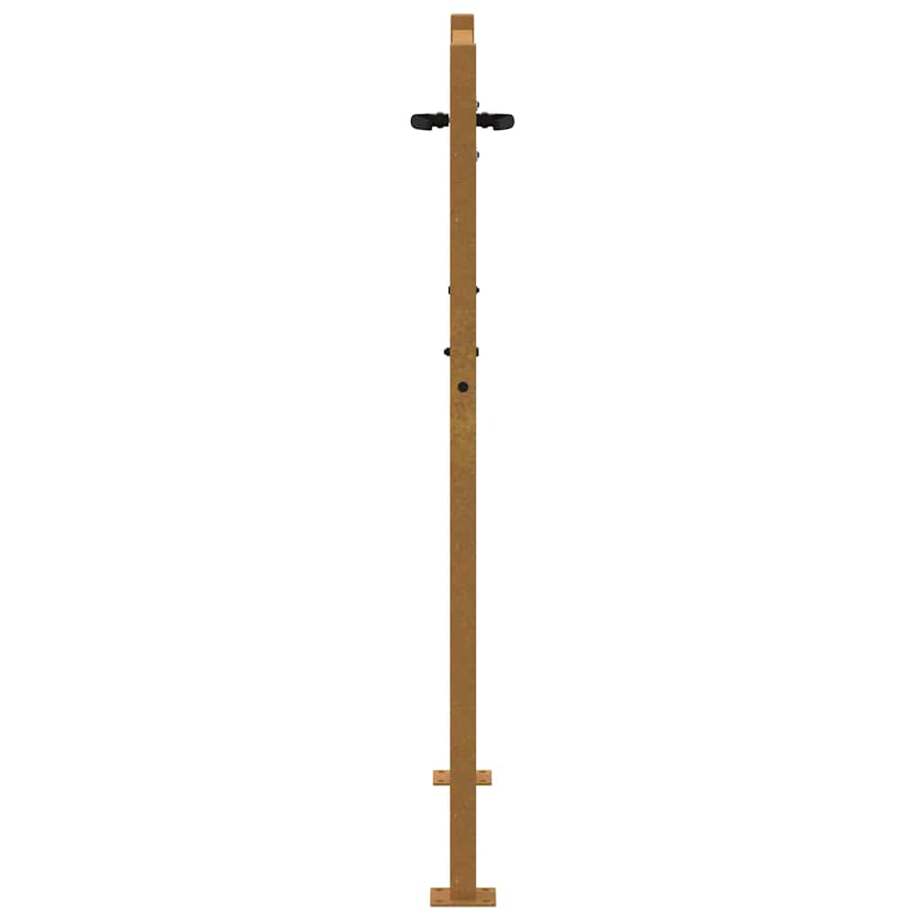 Sodo vartai, 100x150 cm, Corten plienas