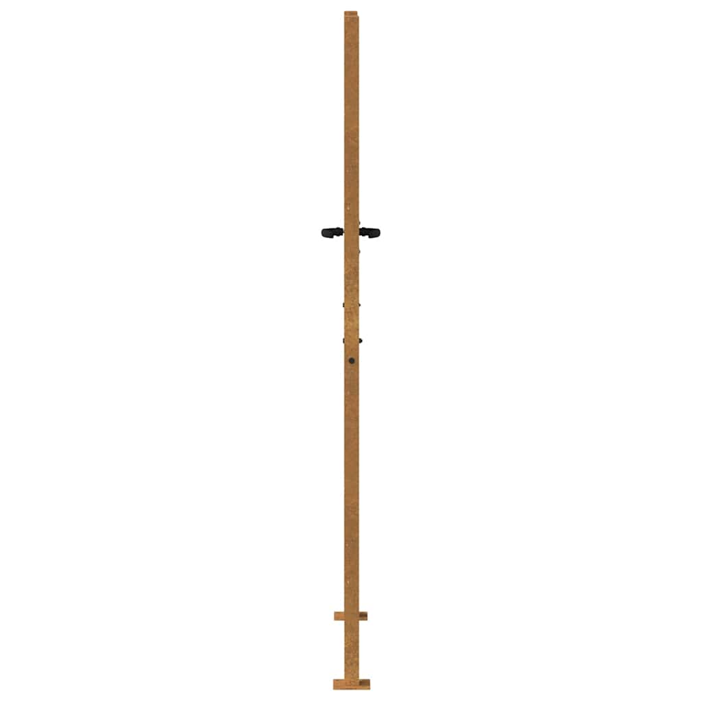 Sodo vartai, 100x200 cm, Corten plienas