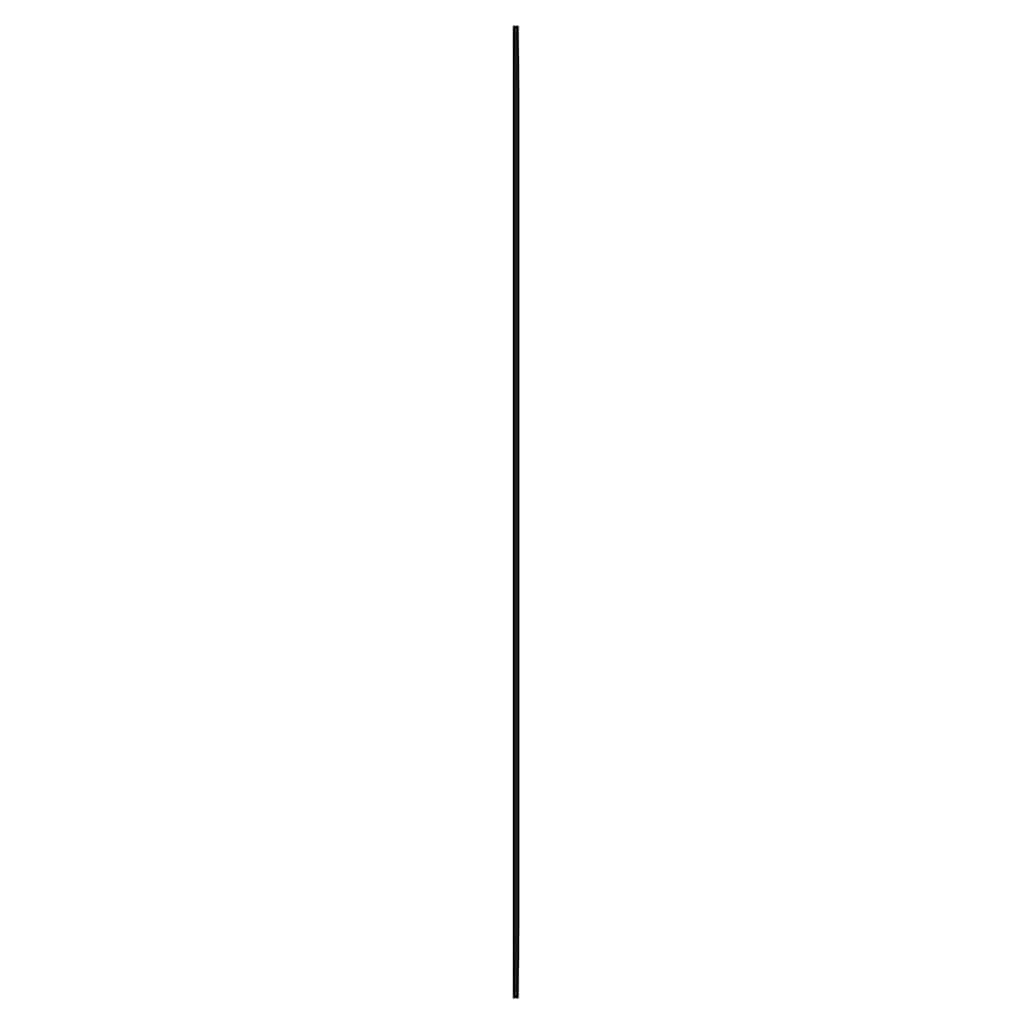 Sienas spogulis, 40x100cm, stikls, taisnstūra