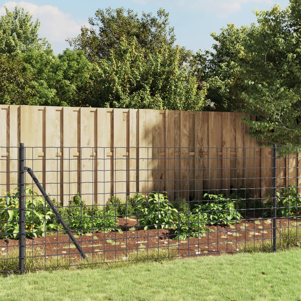 Welded wire mesh fence, anthracite, 1x25m, galvanized steel