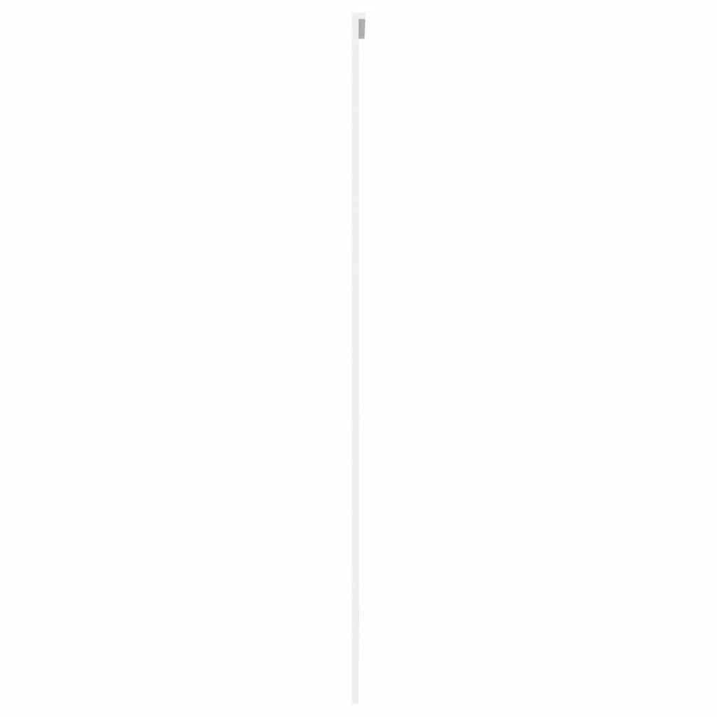 Stumdomos durys, baltos, 102,5x205cm, stiklas ir aliuminis