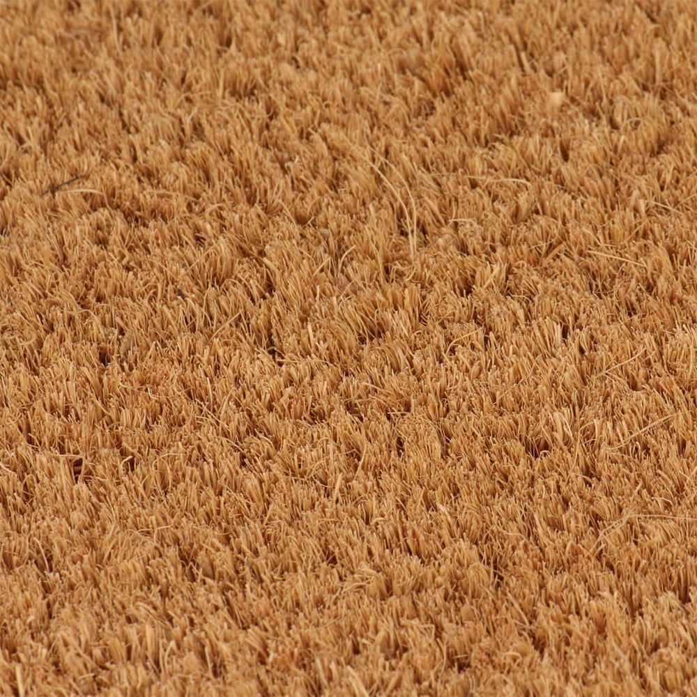 Durvju paklājiņi, 2 gab., dabīgi, 40x60cm, kokosšķiedra