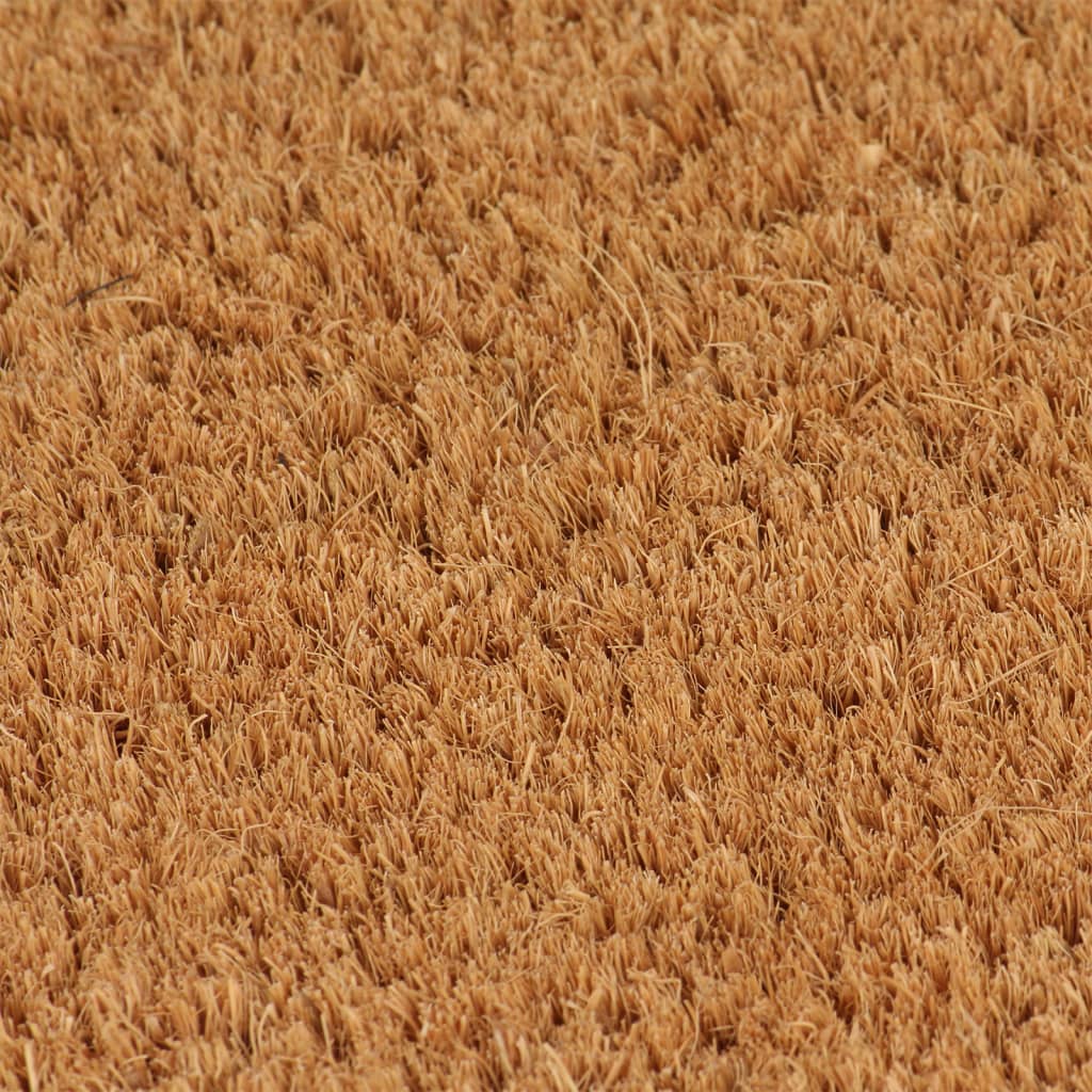 Durų kilimėlis, natūralus, 80x100cm, kokoso pluoštas