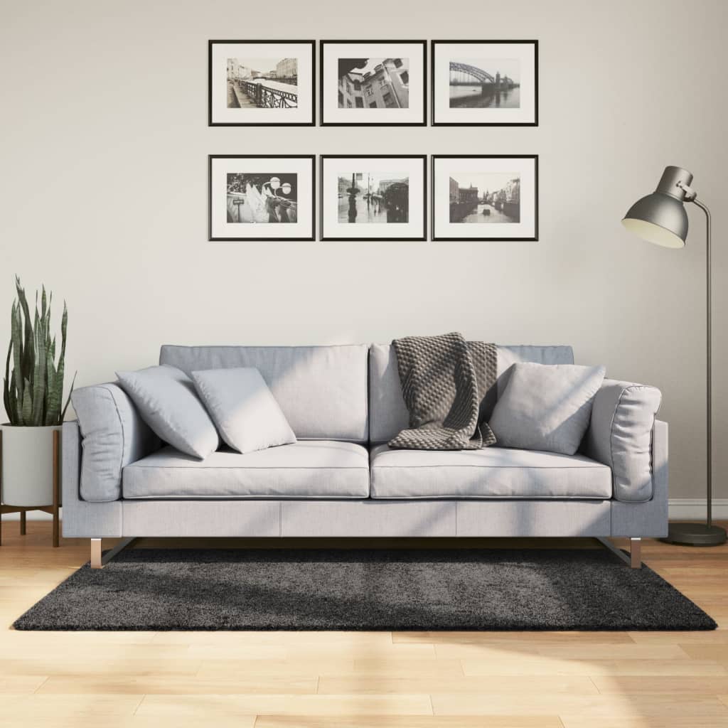 Garo paklājs PAMPLONA, antracīta, 120x170cm, gara plūksna