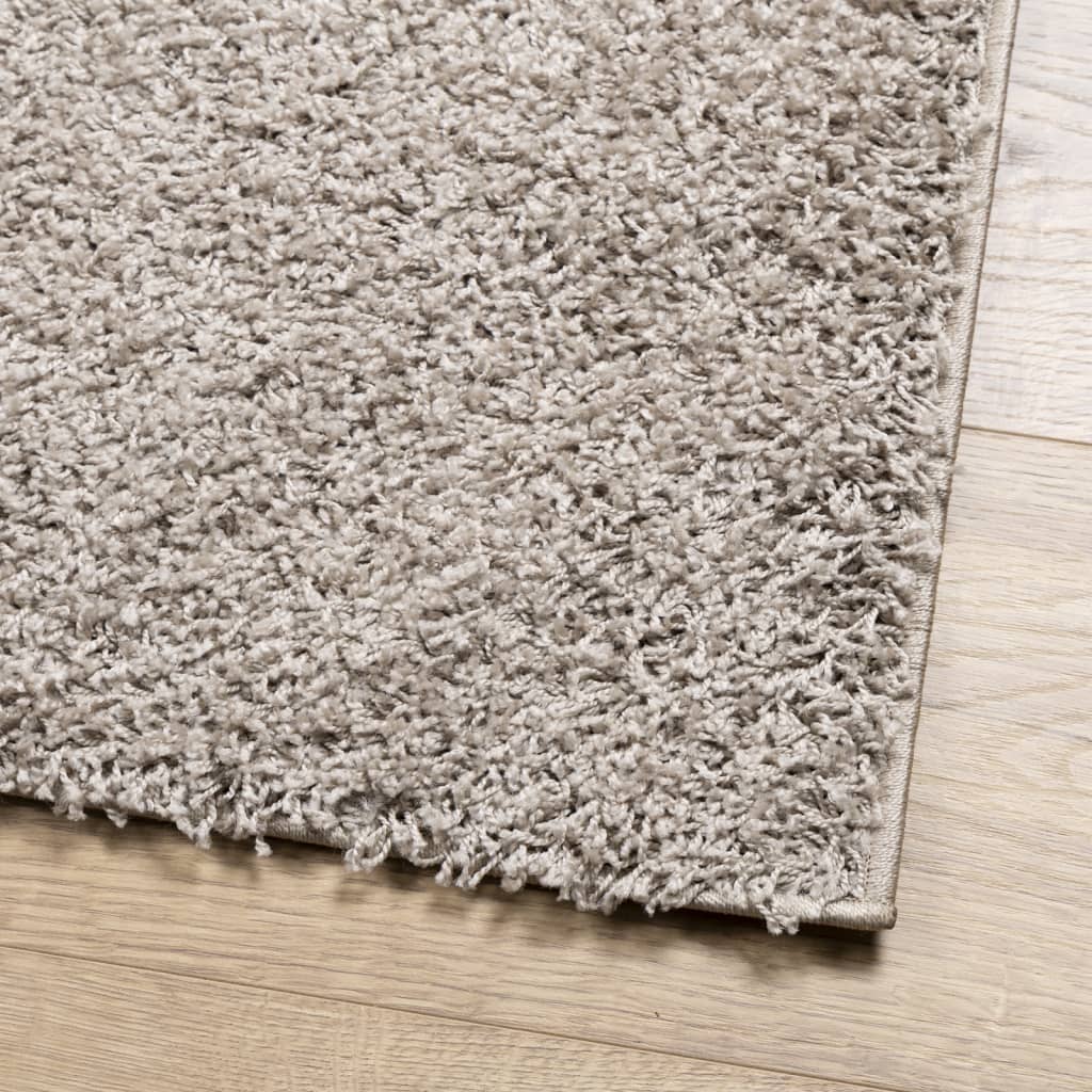 Shaggy tipo kilimas, smėlio spalvos, 300x400cm, aukšti šereliai