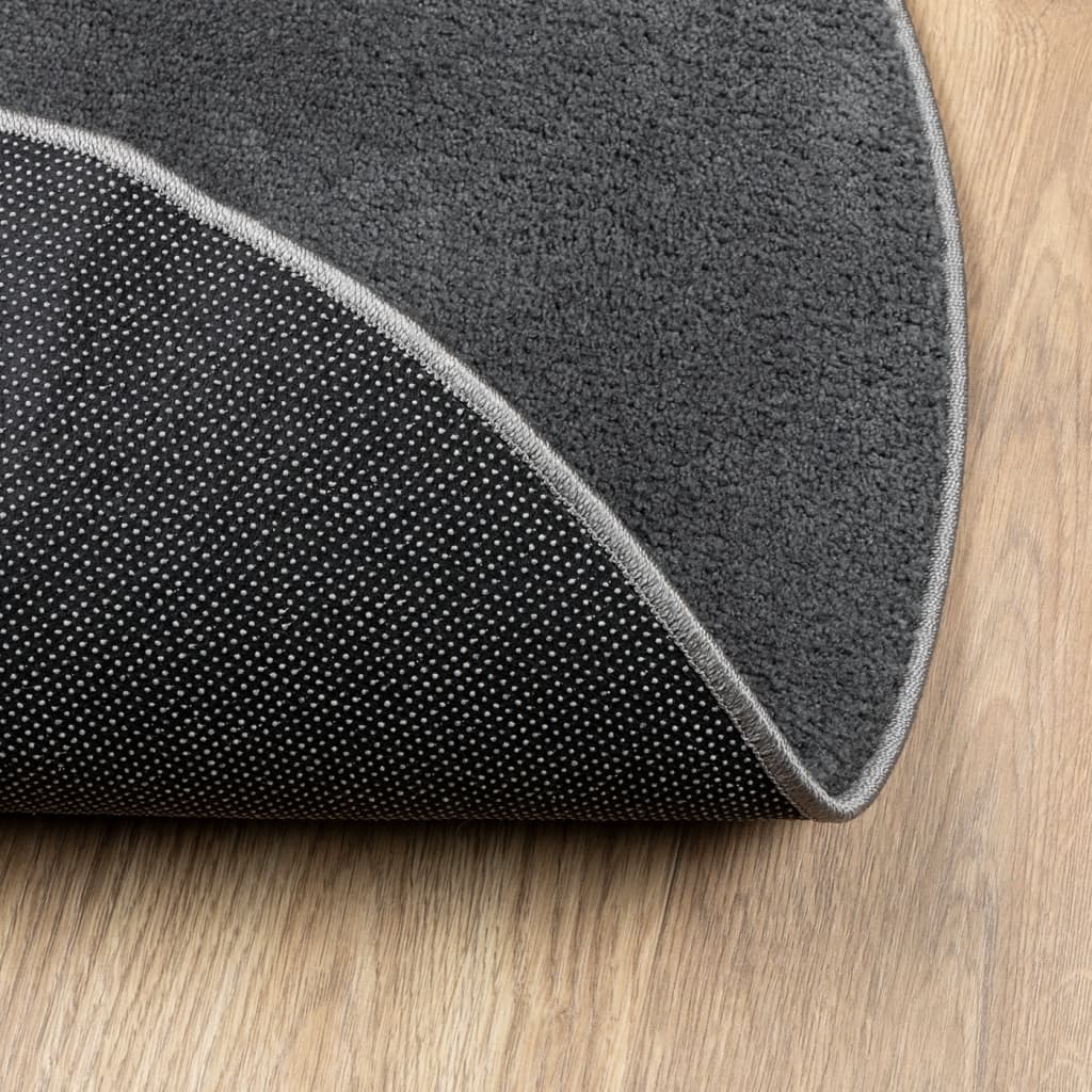 OVIEDO rug, anthracite, 160cm, short pile
