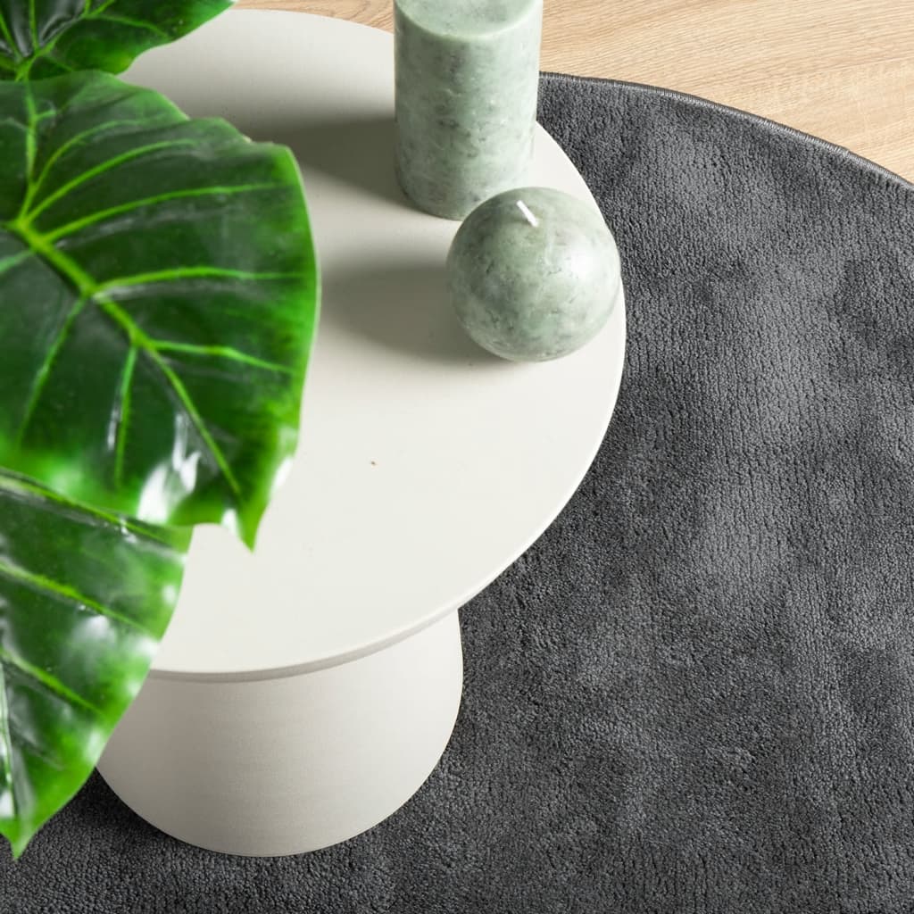 OVIEDO rug, anthracite, 160cm, short pile