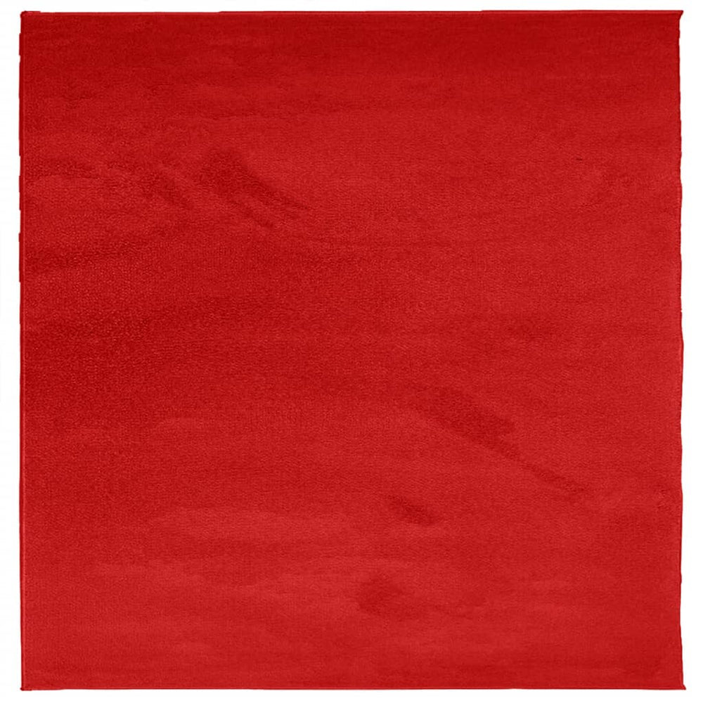 Kilimas OVIEDO, raudonos spalvos, 240x240cm, trumpi šereliai