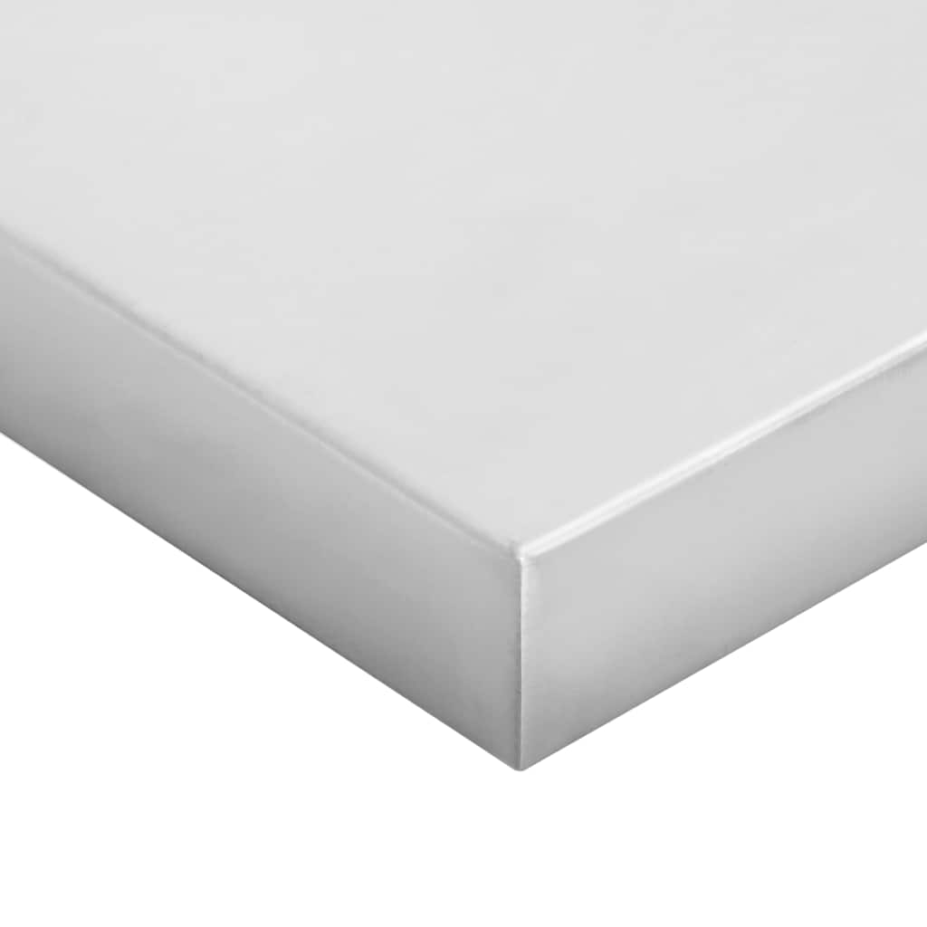 Sieninės lentynos, 2vnt., sidabrinės, 100x23,5x3cm, plienas