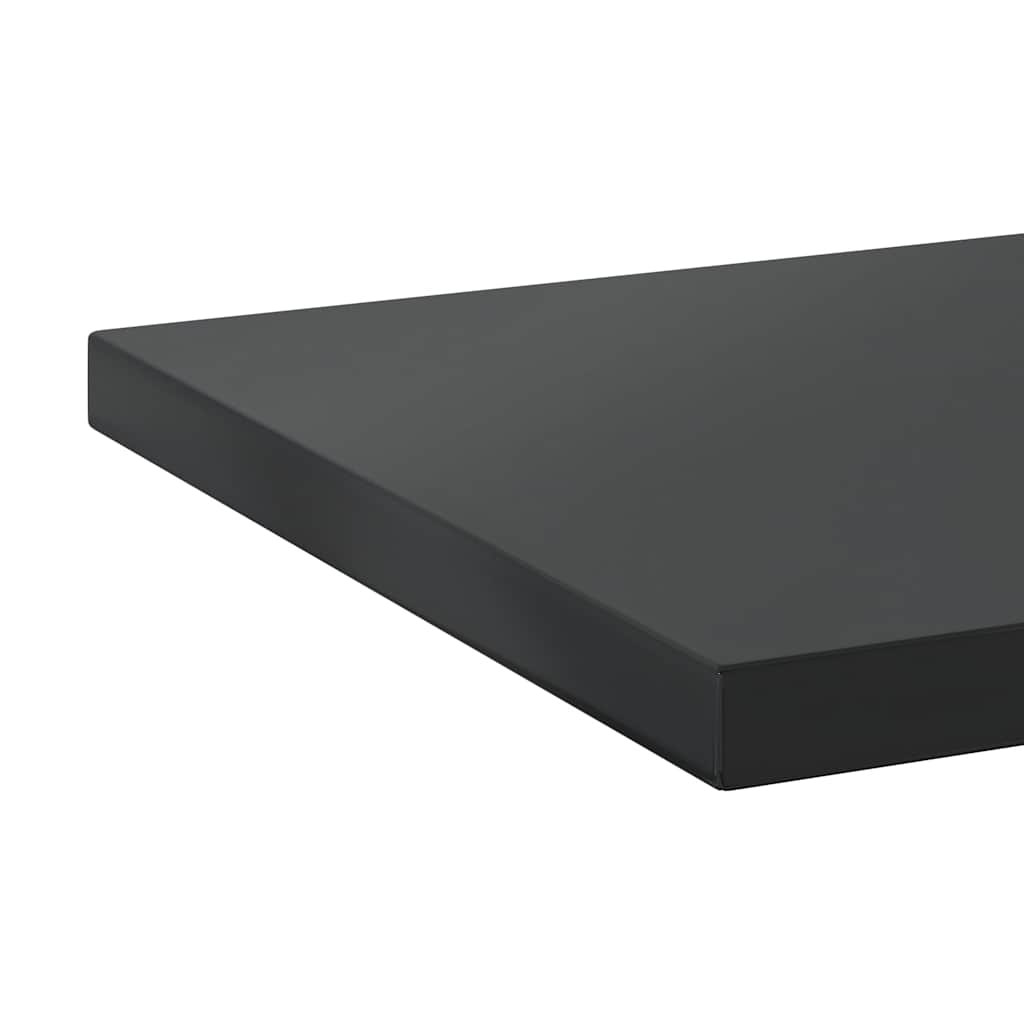 Sienas plaukti, 2 gab., melni, 100x30x3cm, tērauds