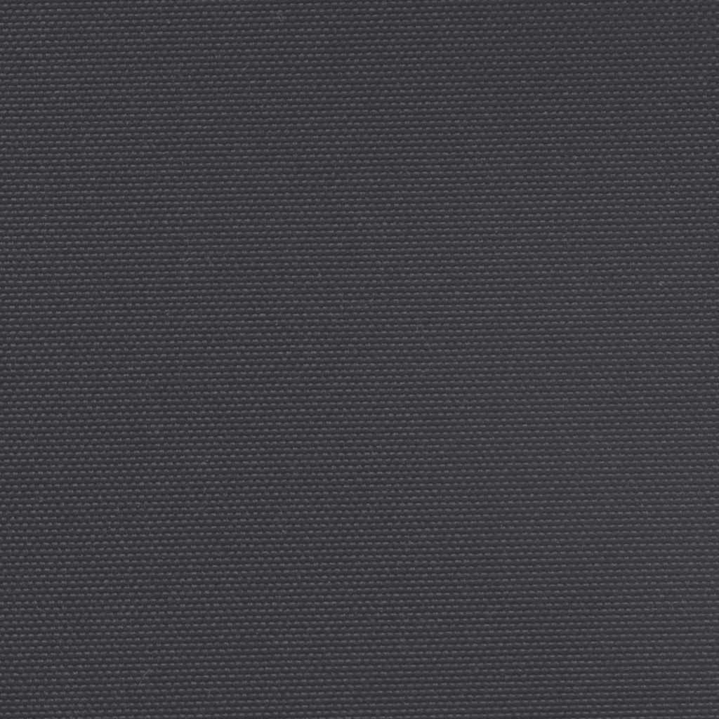 Ištraukiama šoninė markizė, juodos spalvos, 100x300cm