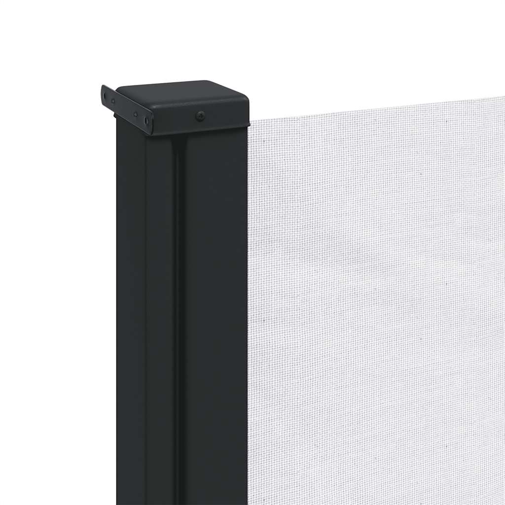 Izvelkama sāna markīze, baltā krāsā, 100x300cm