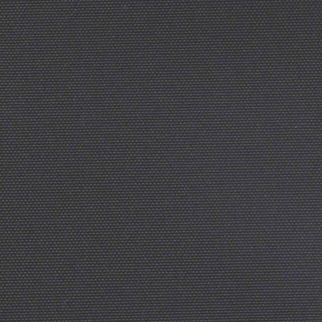 Ištraukiama šoninė markizė, juodos spalvos, 220x300cm