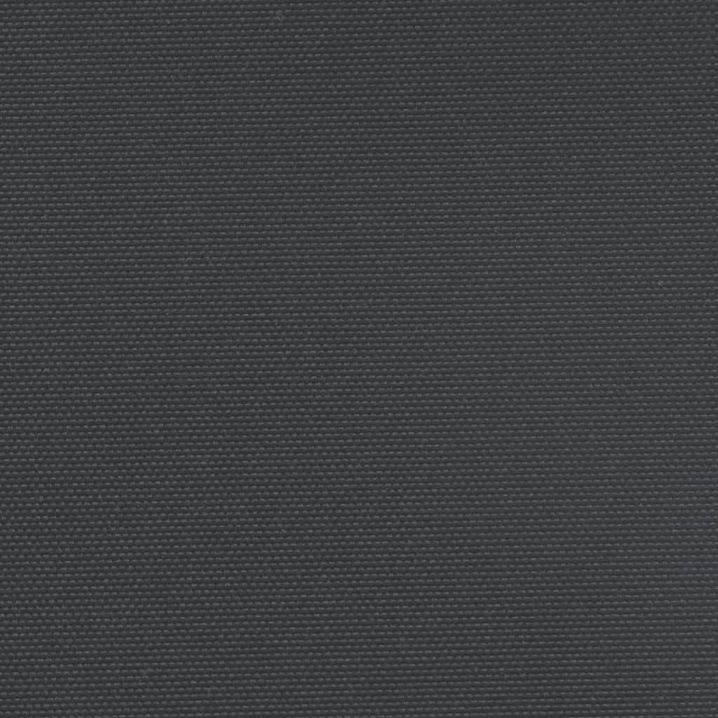 Ištraukiama šoninė markizė, juodos spalvos, 220x600cm