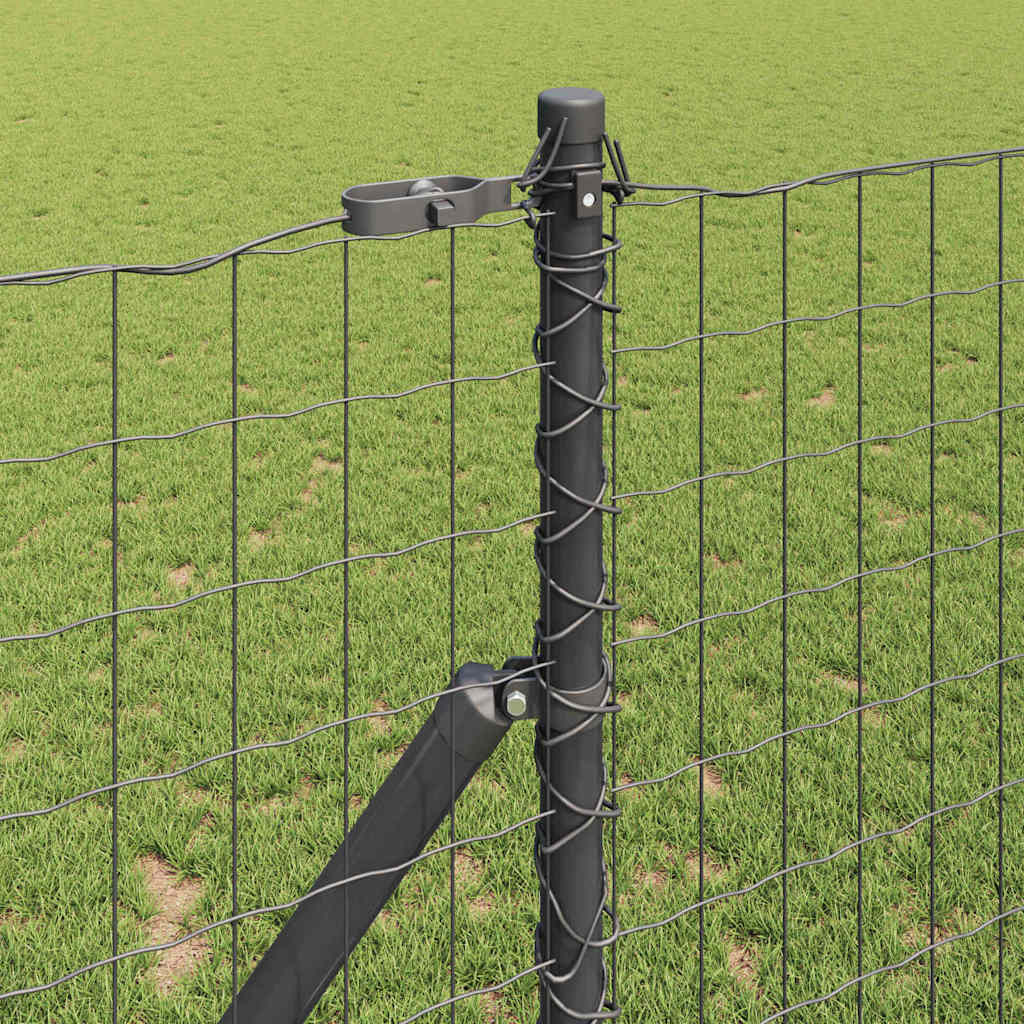 Žogs ar stabiem Pelēks 1 x 10 m Tērauds